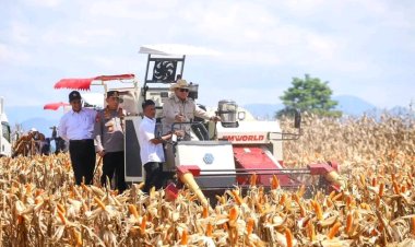 Jelang PENAS Petani Nelayan Gorontalo XVII 2026, Kementan Matangkan Koordinasi Bersama Pemda Gorontalo