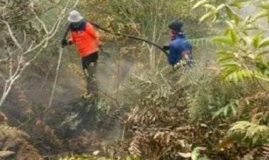 Rangkuman BNPP Sejumlah Bencana di Indonesia