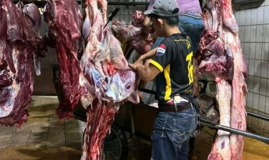 Mogok Daging Batal, Ini Langkah Kementan Menjaga Pasokan Jelang Ramadan dan Lebaran