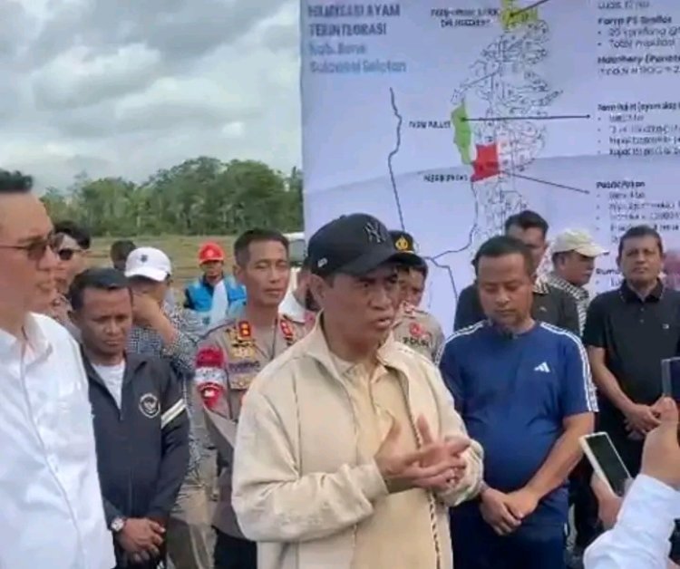 Proyek Hilirisasi Ayam Terintegrasi Digulirkan di Bone, Mentan Tinjau Langsung Lokasi di Ponre