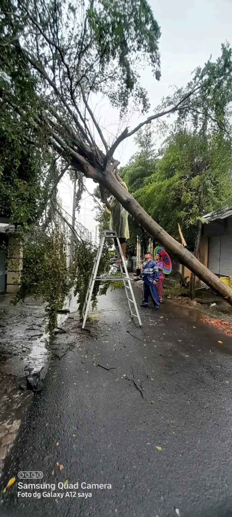 BNPB Update Sejumlah Bencana di Seluruh Wilayah Indonesia