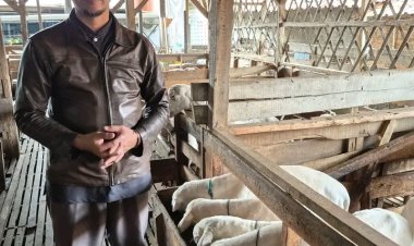 Mitra Tani Farm Bogor, Contoh Nyata Hilirisasi Peternakan dari Hulu ke Hilir