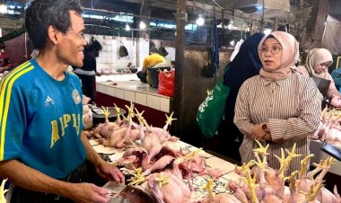 Kementan Sidak Pasar di Depok, Harga Ayam dan Daging Selama Puasa Tetap Normal